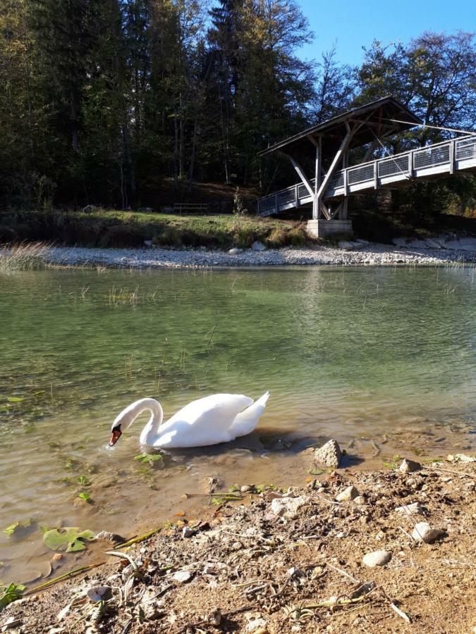 Le Charme Des 2 Lacs Malbuisson Dış mekan fotoğraf